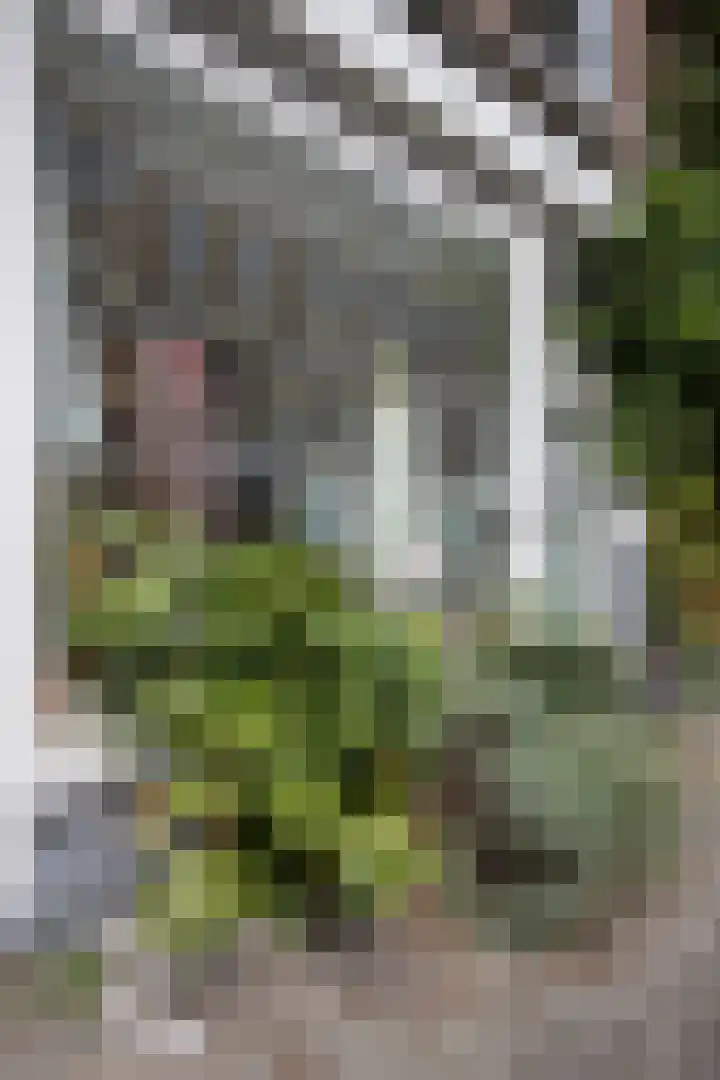 Eerste Jan Steenstraat 77 A Amsterdam thumbnail 24