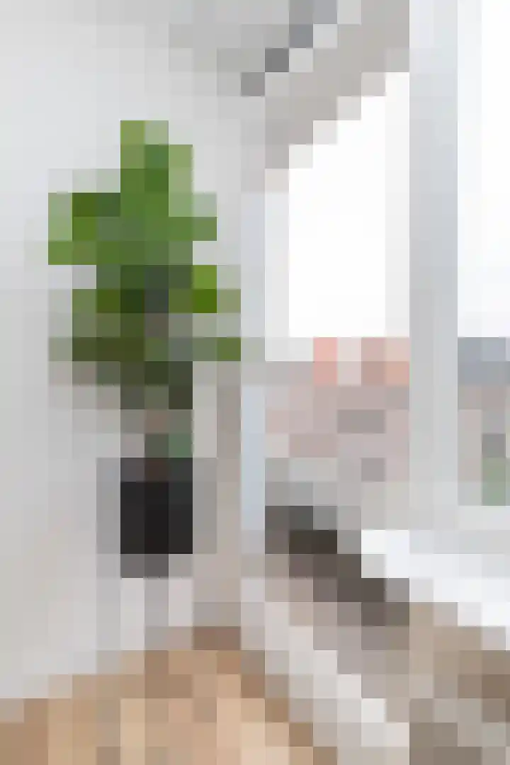 Eerste Jan Steenstraat 77 A Amsterdam thumbnail 5