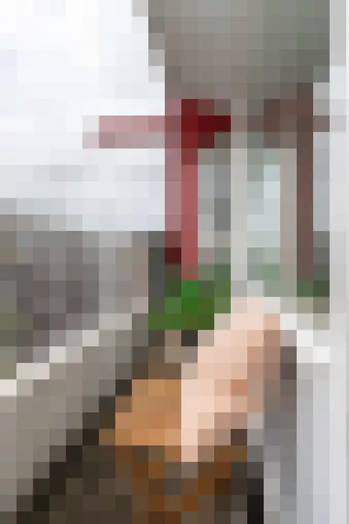 Eerste Jan Steenstraat 77 A Amsterdam thumbnail 6