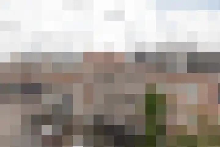 Eerste Jan Steenstraat 77 A Amsterdam thumbnail 7