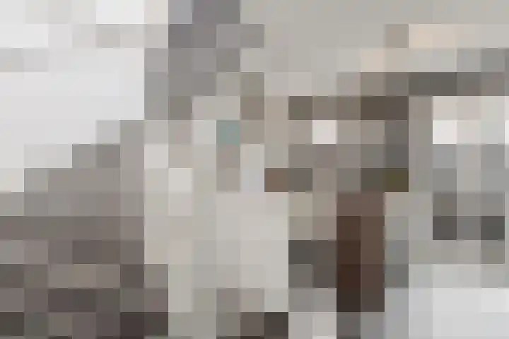 Eerste Jan Steenstraat 8 A Amsterdam thumbnail 14