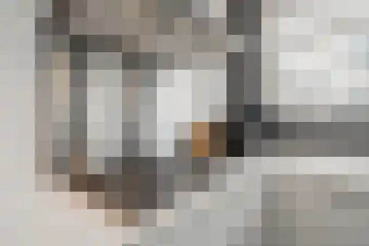 Eerste Jan Steenstraat 8 A Amsterdam thumbnail 18