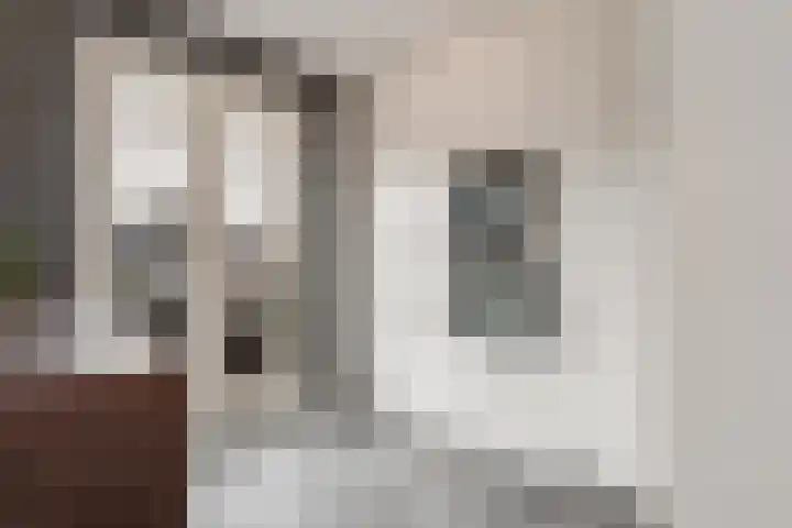 Eerste Jan Steenstraat 8 A Amsterdam thumbnail 20