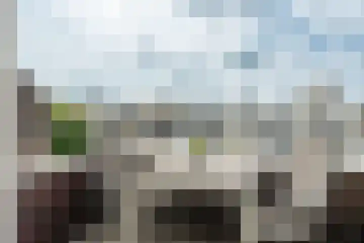 Eerste Jan Steenstraat 8 A Amsterdam thumbnail 22