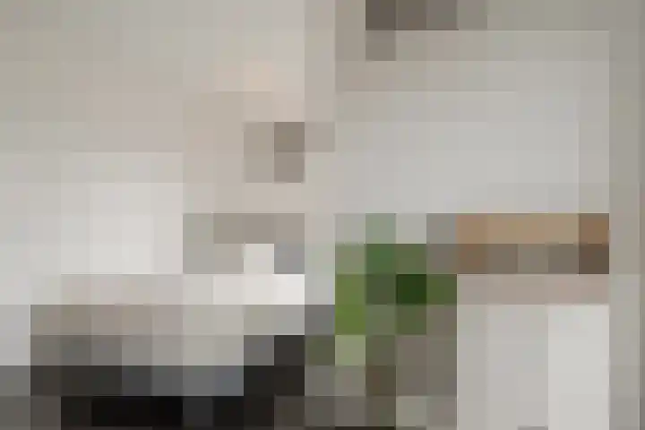 Eerste Jan Steenstraat 8 A Amsterdam thumbnail 26