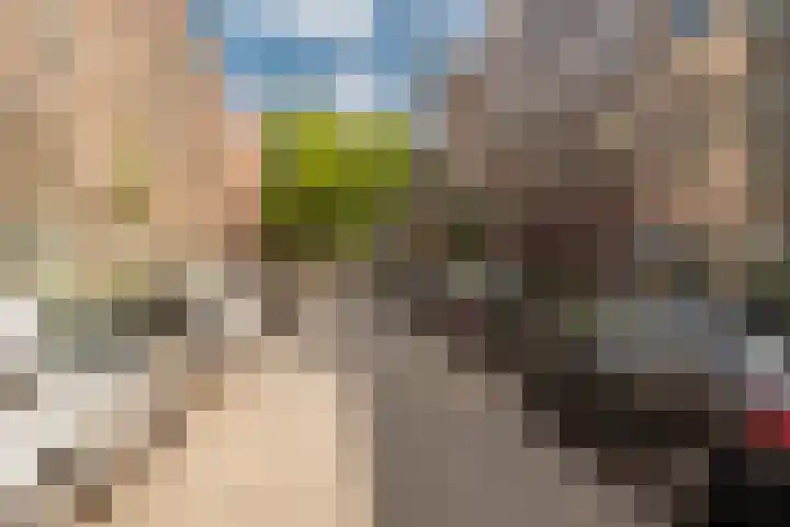 Eerste Jan Steenstraat 8 A Amsterdam thumbnail 43