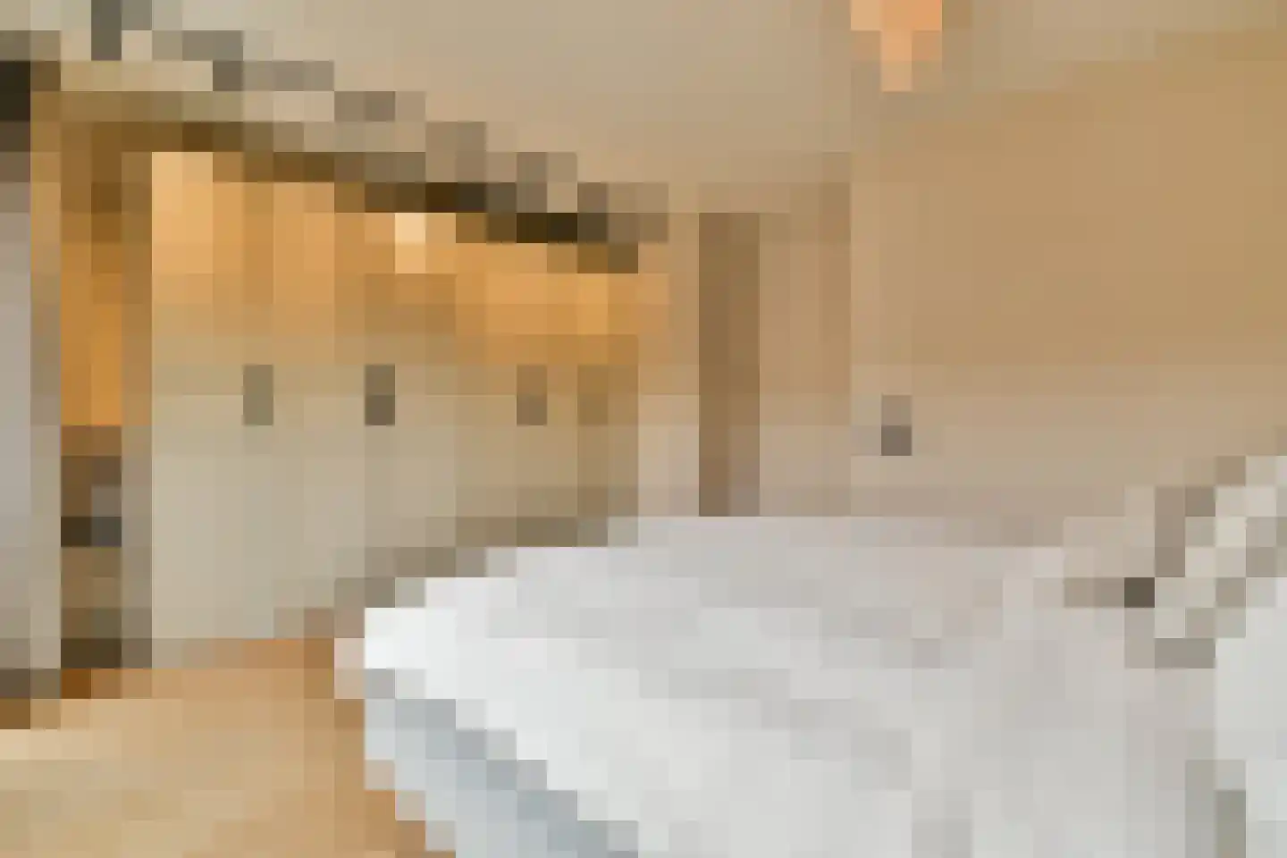 Eerste Jan Steenstraat 8 E Amsterdam thumbnail 19