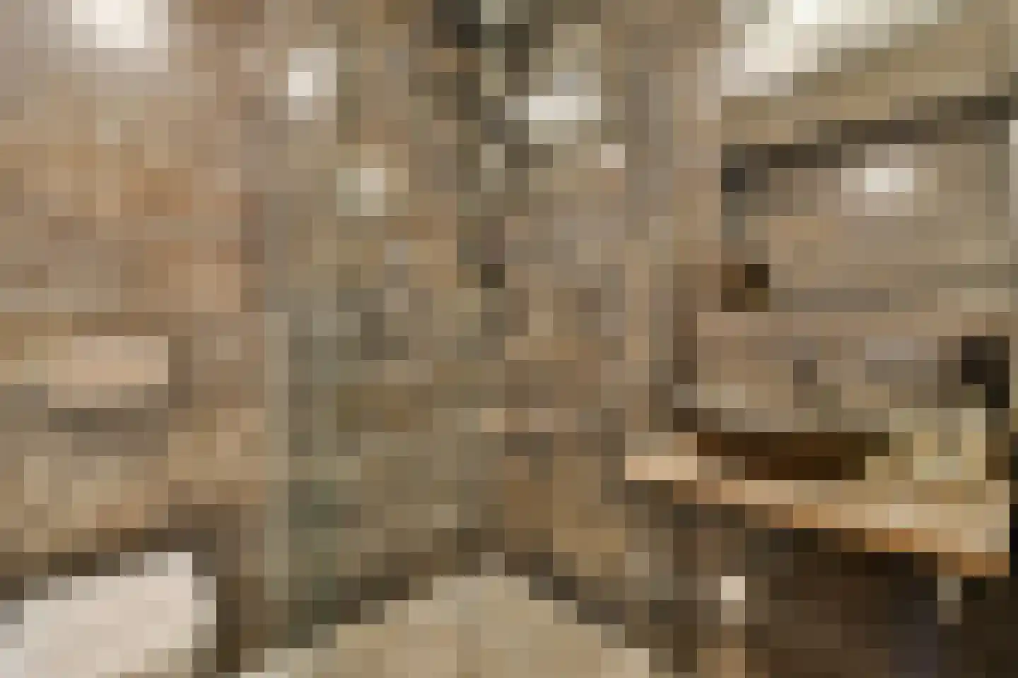 Eerste Jan Steenstraat 8 E Amsterdam thumbnail 23