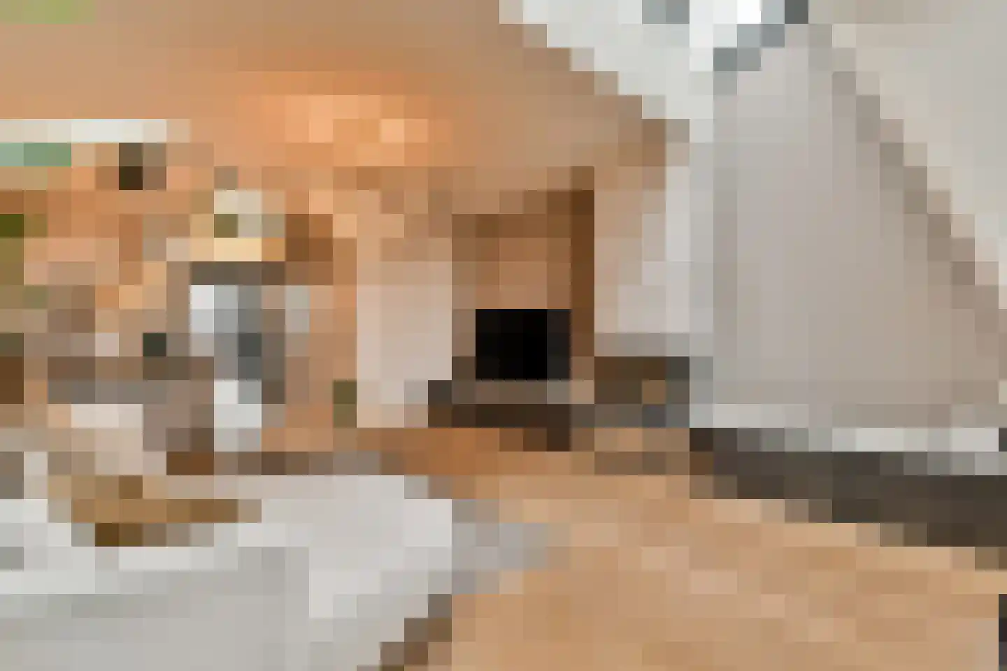 Eerste Jan Steenstraat 8 E Amsterdam thumbnail 8