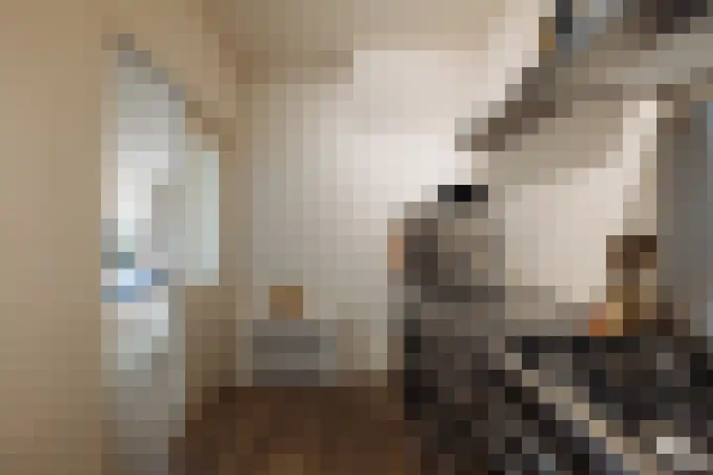 Eerste Jan Steenstraat 90 1 Amsterdam thumbnail 11