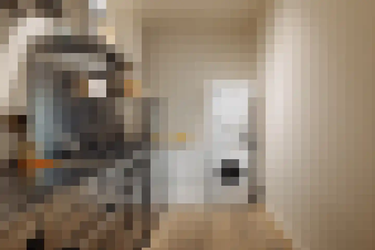 Eerste Jan Steenstraat 90 1 Amsterdam thumbnail 12