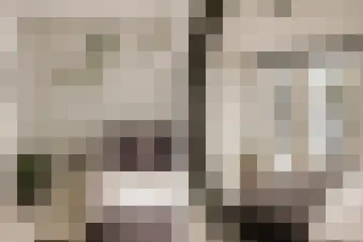 Eerste Jan Steenstraat 90 3 Amsterdam thumbnail 25
