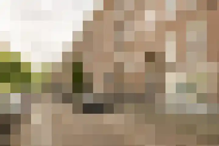 Eerste Jan Steenstraat 90 3 Amsterdam thumbnail 34