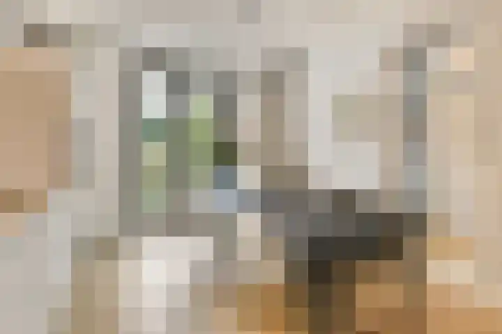 Eerste Jan Steenstraat 98 H Amsterdam thumbnail 15