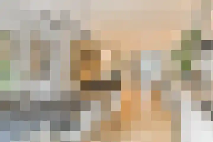 Eerste Jan Steenstraat 98 H Amsterdam thumbnail 18