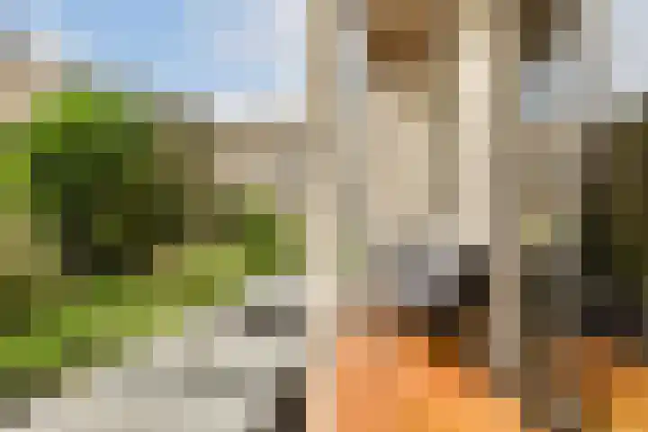 Eerste Jan Steenstraat 98 H Amsterdam thumbnail 24