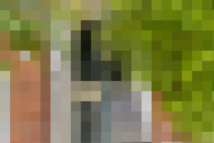 Eerste Jan Steenstraat 98 H Amsterdam thumbnail 33