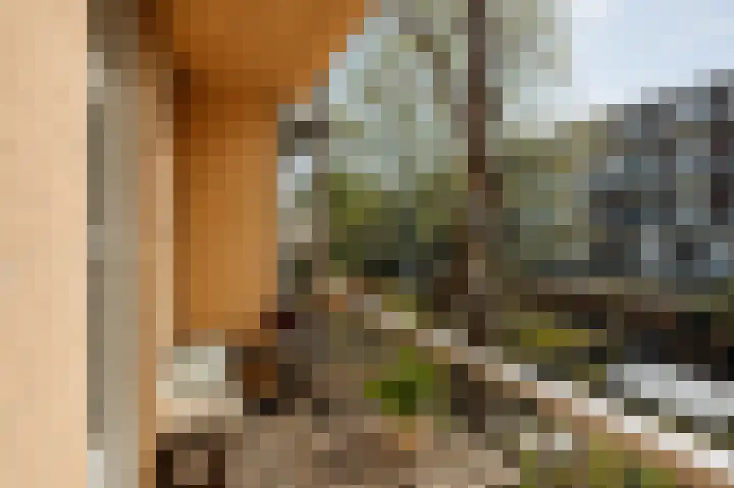 Eerste Jan van der Heijdenstraat 100 2 Amsterdam thumbnail 15