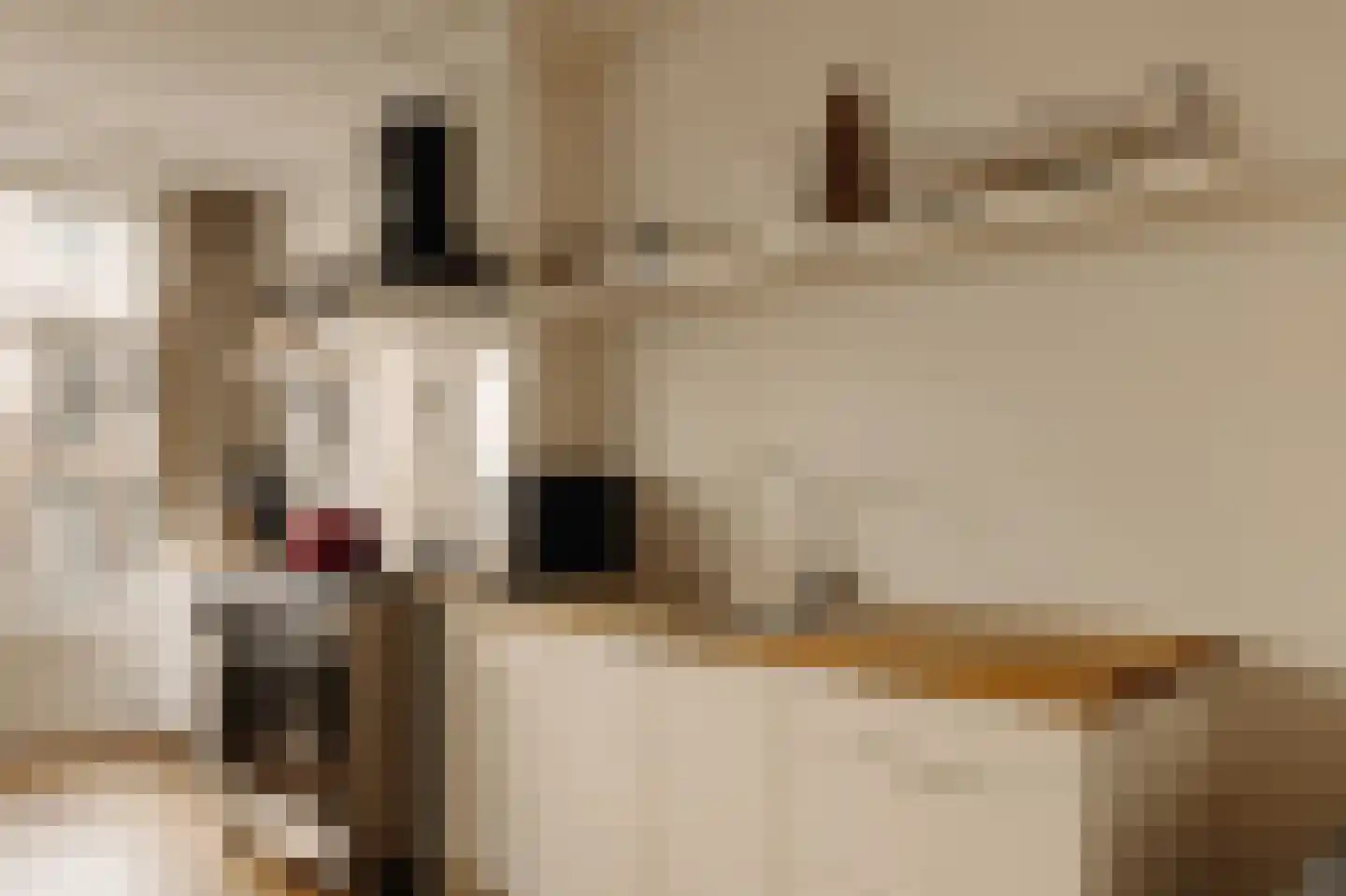 Eerste Jan van der Heijdenstraat 100 2 Amsterdam thumbnail 8