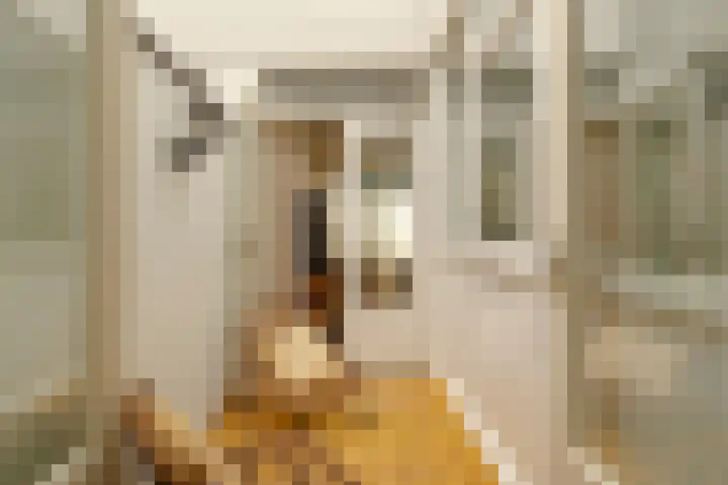 Eerste Jan van der Heijdenstraat 103 A 1 Amsterdam thumbnail 19