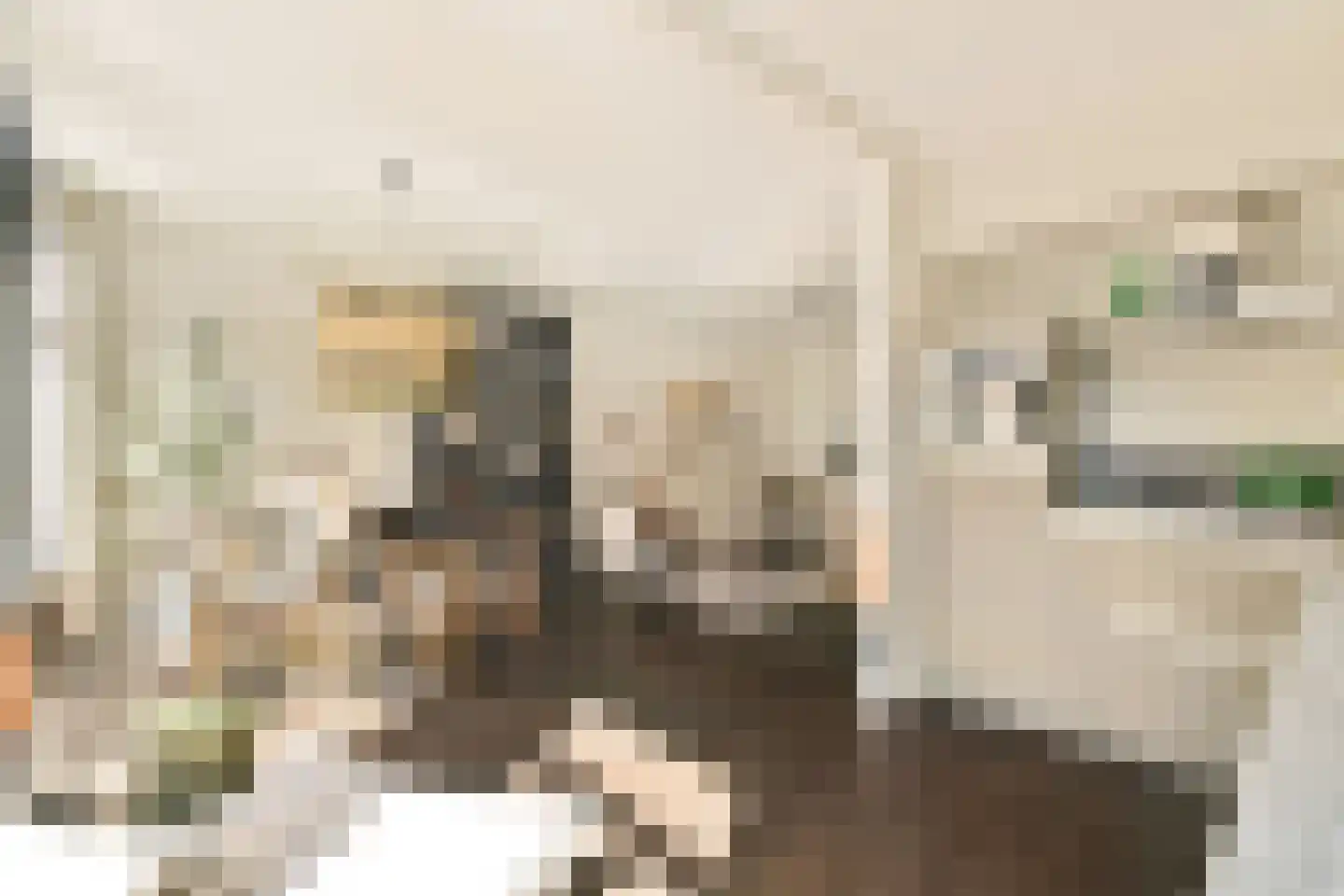 Eerste Jan van der Heijdenstraat 113 B Amsterdam thumbnail 8