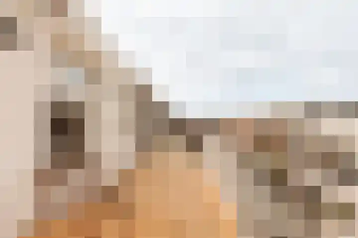 Eerste Jan van der Heijdenstraat 113 E Amsterdam thumbnail 8