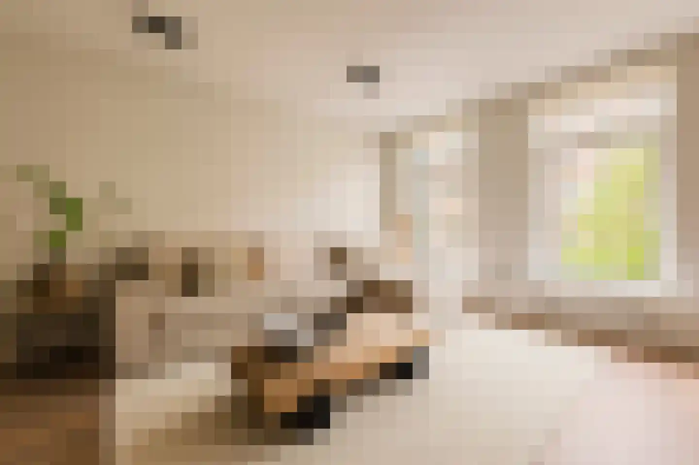 Eerste Jan van der Heijdenstraat 118 1 Amsterdam thumbnail 5
