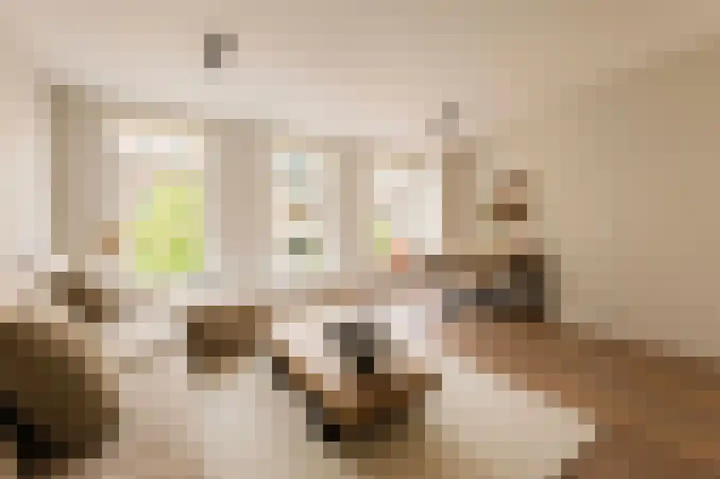 Eerste Jan van der Heijdenstraat 118 1 Amsterdam thumbnail 6