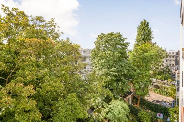 Eerste Jan van der Heijdenstraat 118 3 Amsterdam thumbnail 21