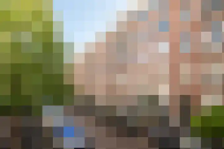 Eerste Jan van der Heijdenstraat 118 3 Amsterdam thumbnail 21