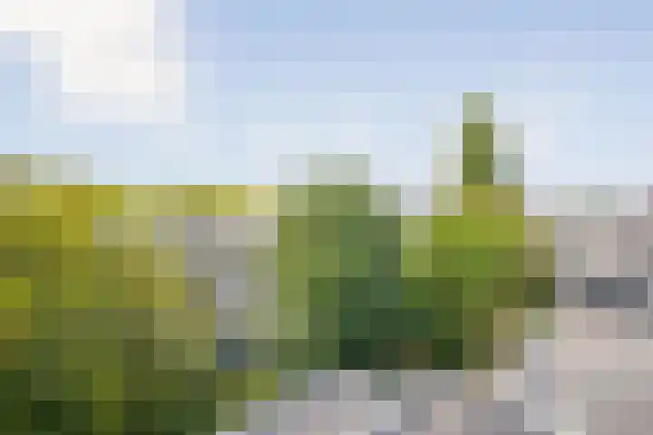 Eerste Jan van der Heijdenstraat 118 3 Amsterdam thumbnail 36