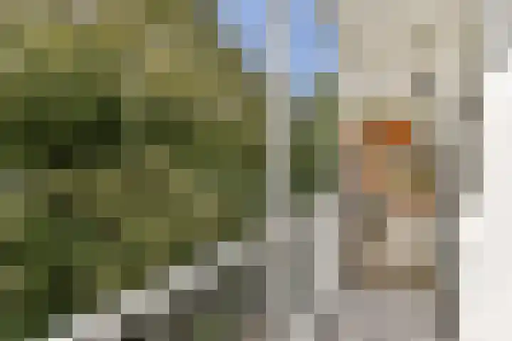 Eerste Jan van der Heijdenstraat 122 C Amsterdam thumbnail 12