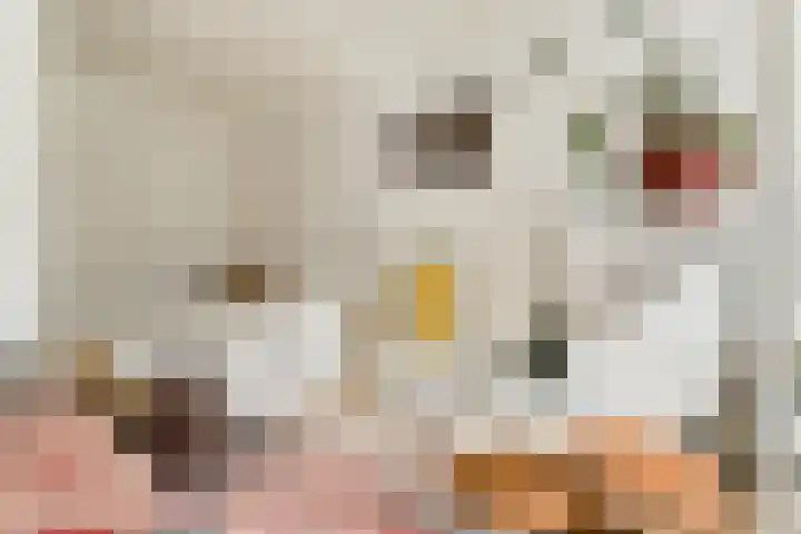 Eerste Jan van der Heijdenstraat 122 C Amsterdam thumbnail 5