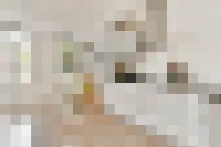 Eerste Jan van der Heijdenstraat 122 C Amsterdam thumbnail 9