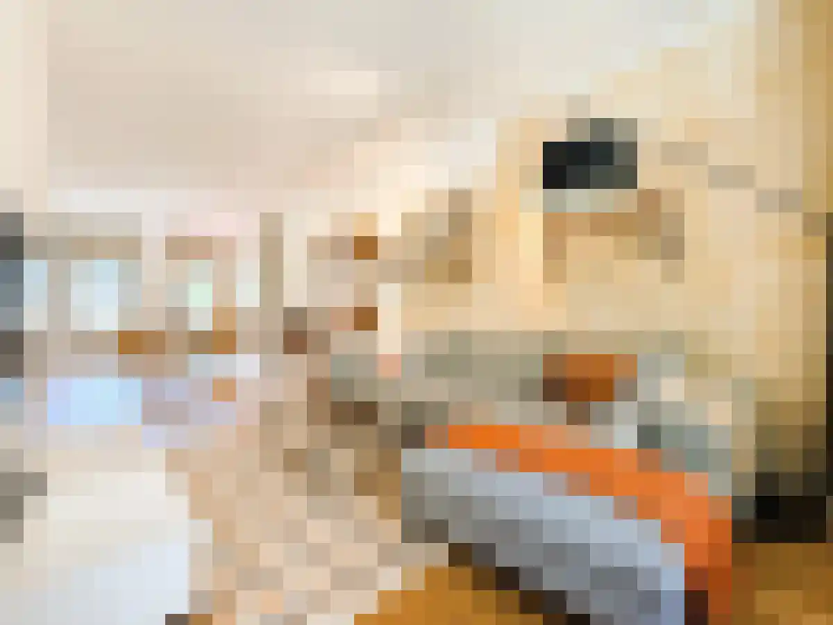 Eerste Jan van der Heijdenstraat 124 Amsterdam thumbnail 4