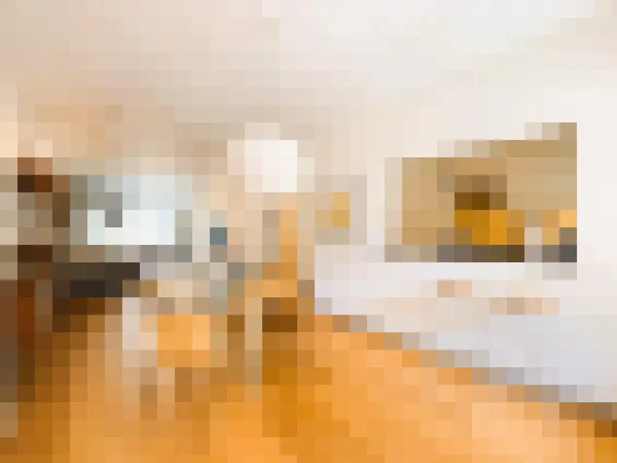 Eerste Jan van der Heijdenstraat 124 Amsterdam thumbnail 6