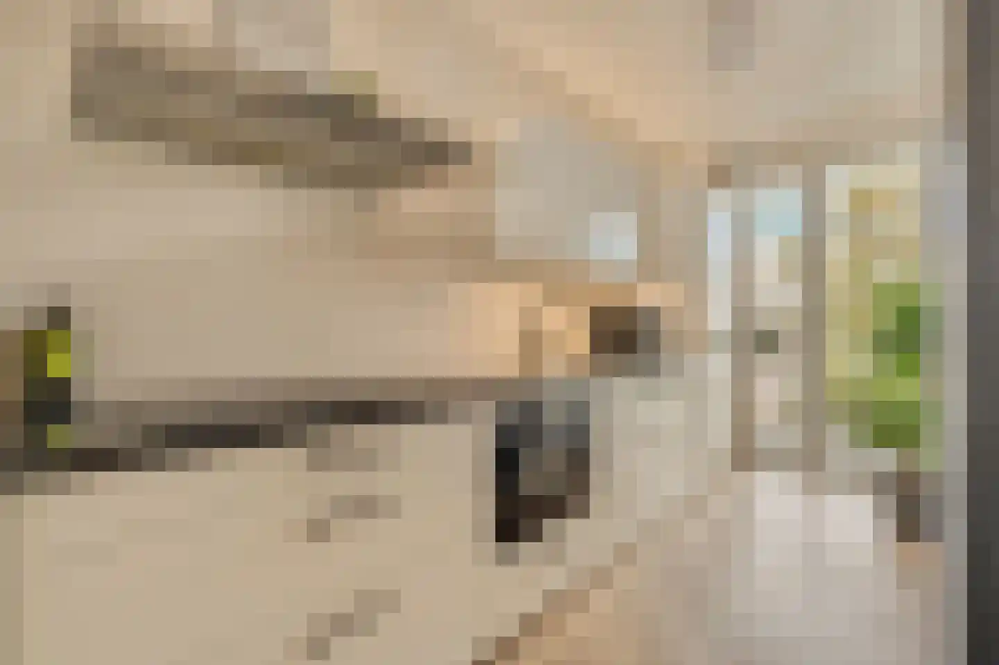 Eerste Jan van der Heijdenstraat 131 F Amsterdam thumbnail 13