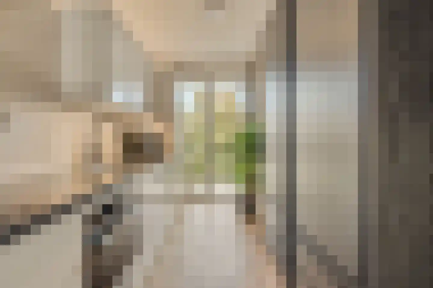 Eerste Jan van der Heijdenstraat 131 F Amsterdam thumbnail 15