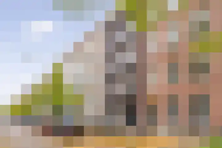 Eerste Jan van der Heijdenstraat 159 3 Amsterdam thumbnail 22