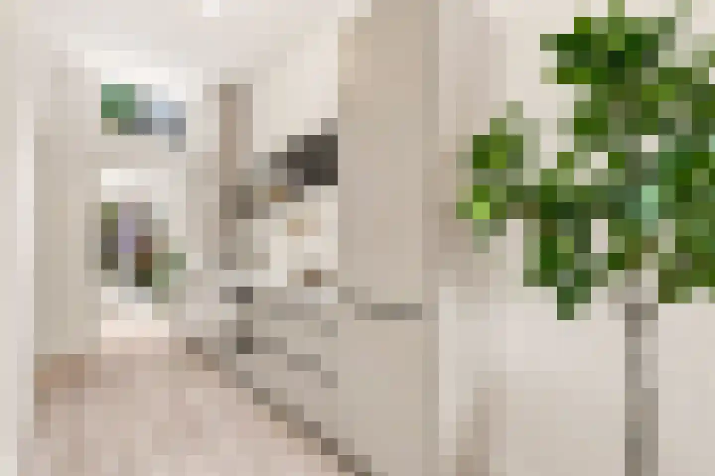 Eerste Jan van der Heijdenstraat 16 H Amsterdam thumbnail 12