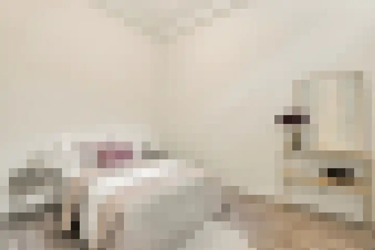 Eerste Jan van der Heijdenstraat 16 H Amsterdam thumbnail 14