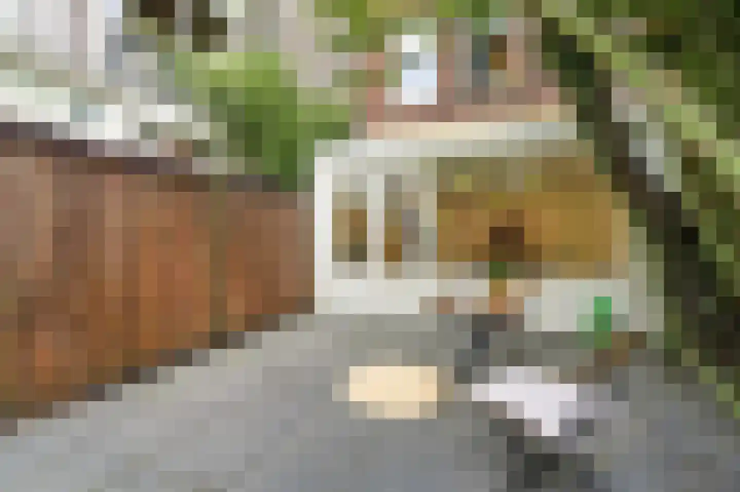 Eerste Jan van der Heijdenstraat 16 H Amsterdam thumbnail 23