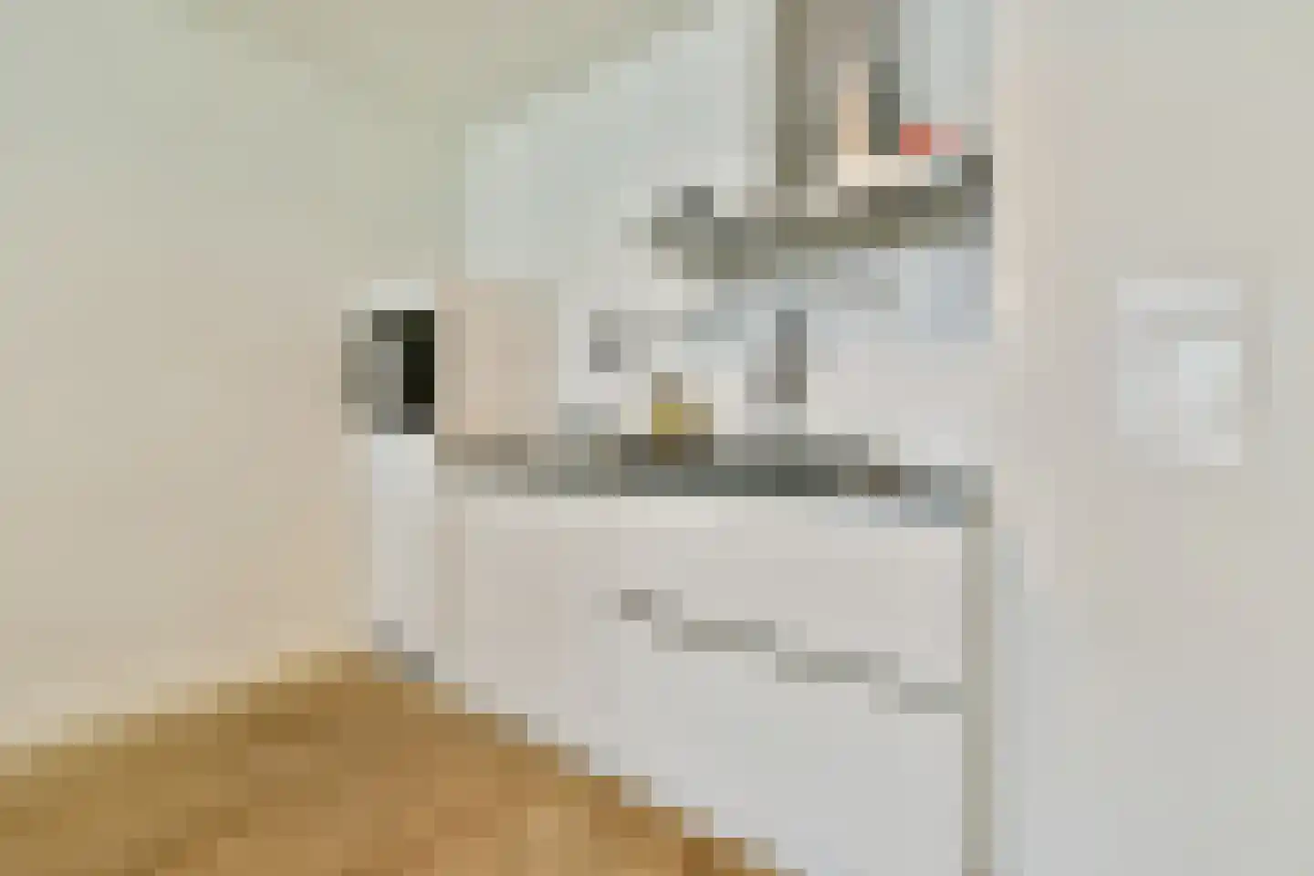 Eerste Jan van der Heijdenstraat 26 2A Amsterdam thumbnail 6