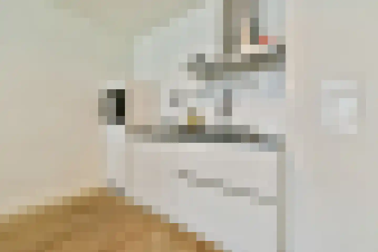 Eerste Jan van der Heijdenstraat 26 2A Amsterdam thumbnail 6