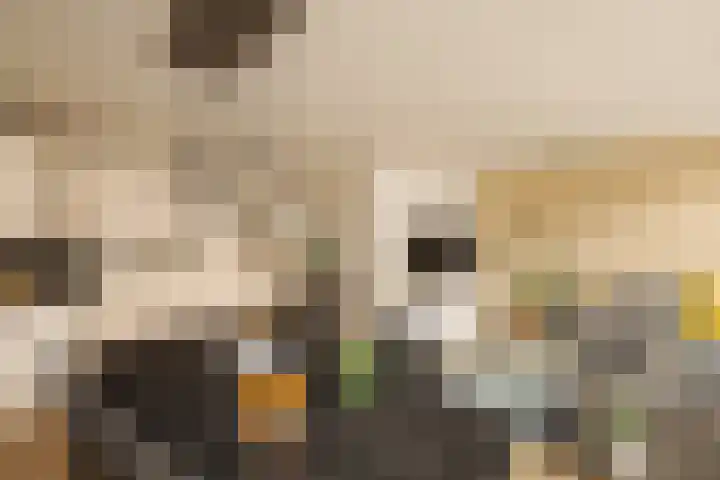 Eerste Jan van der Heijdenstraat 34 D Amsterdam thumbnail 4