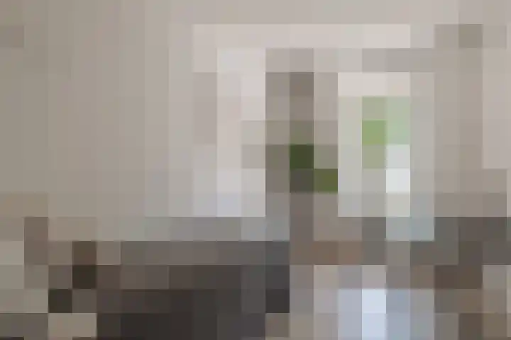 Eerste Jan van der Heijdenstraat 36 E Amsterdam thumbnail 11