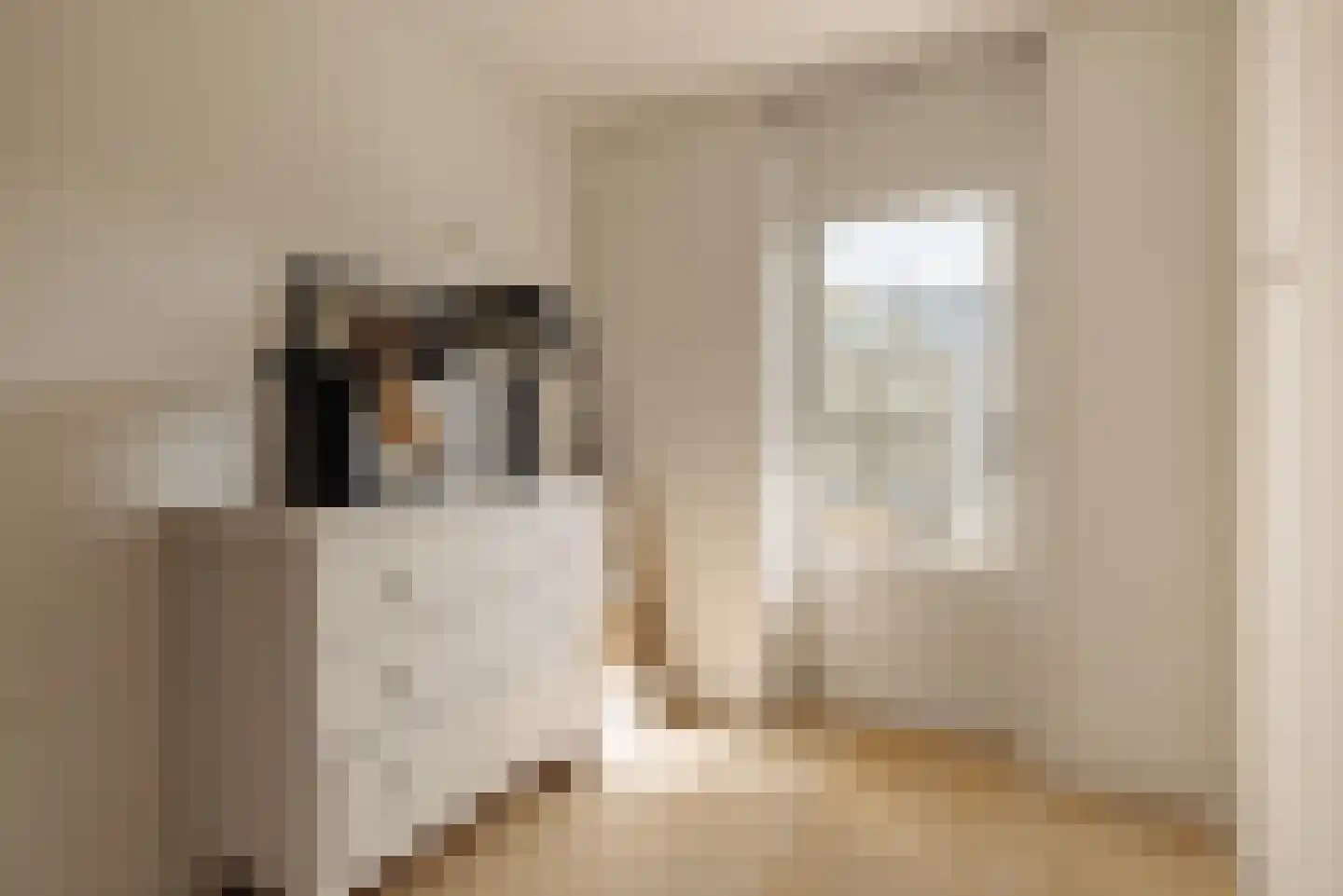 Eerste Jan van der Heijdenstraat 36 E Amsterdam thumbnail 13