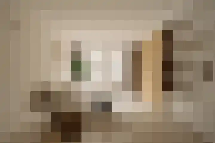 Eerste Jan van der Heijdenstraat 36 E Amsterdam thumbnail 4