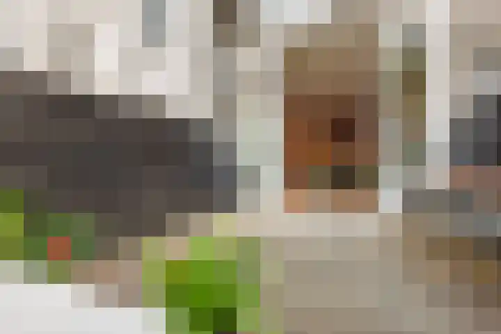 Eerste Jan van der Heijdenstraat 41 A Amsterdam thumbnail 5