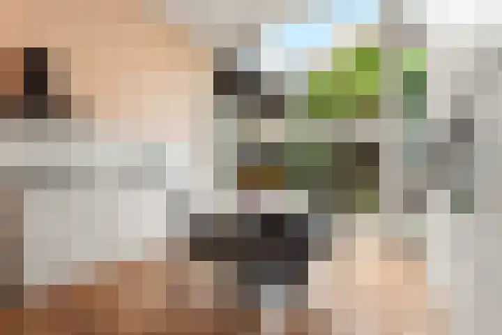 Eerste Jan van der Heijdenstraat 41 A Amsterdam thumbnail 8